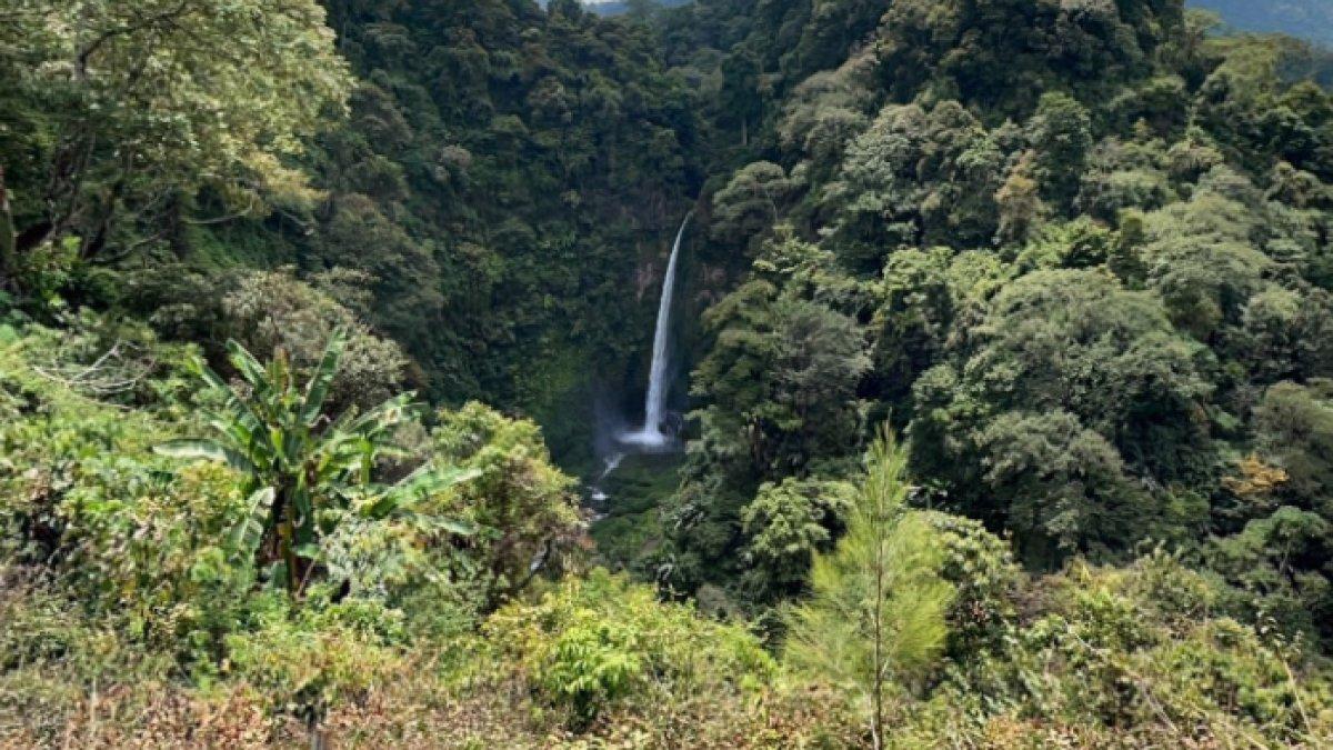 WISATA AIR - Potret Coban Pelangi diambil dari Google Street View pada Minggu (23/3/2025). Coban Pelangi terletak di Dusun Ngadas, Kecamatan Poncokusumo, Kabupaten Malang, Jawa Timur.