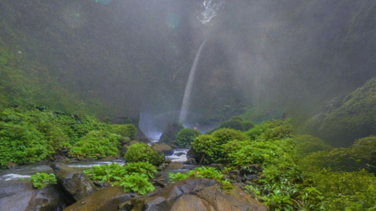WISATA AIR - Potret Coban Pelangi diambil dari Google Street View pada Minggu (23/3/2025). Coban Pelangi terletak di Kecamatan Poncokusumo, Kabupaten Malang, Jawa Timur.