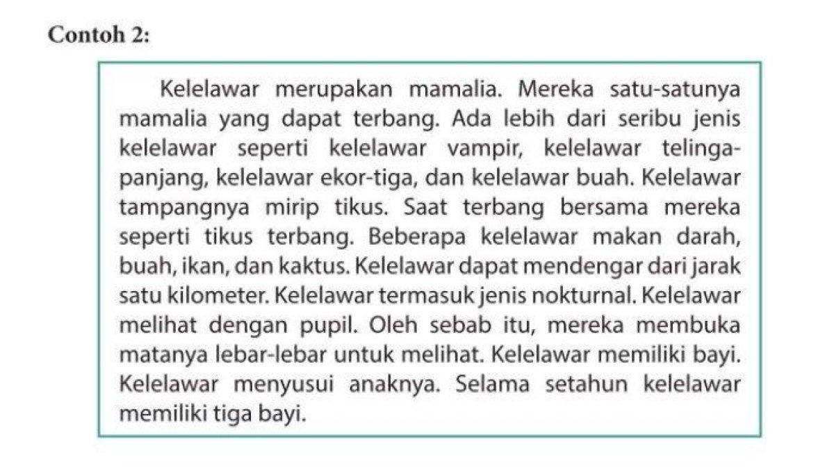 Contoh 2. Kelelawar