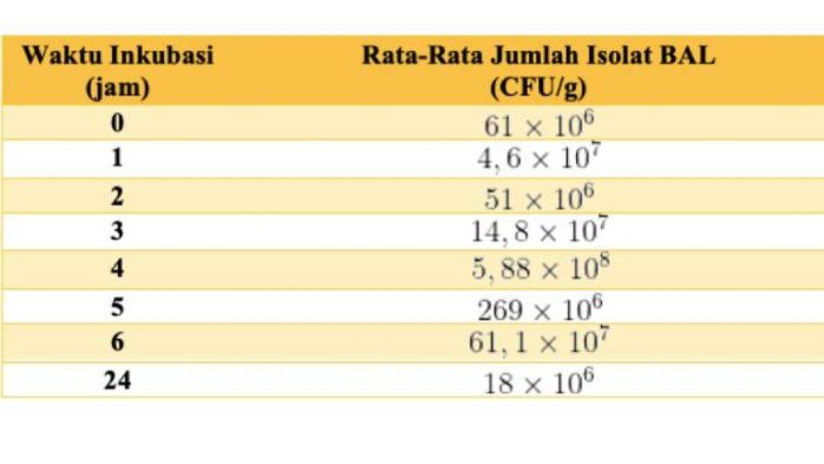 Contoh ANBK SMA - Soal Numerasi nomor 8