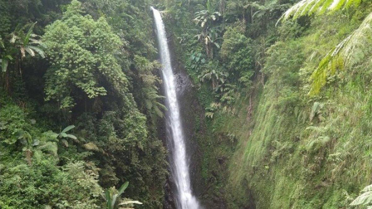 CURUG CANTEL - Potret Curug Cantel disadur dari TribunJateng.com pada Senin (10/3/2025). Curug Cantel berlokasi di Dukuh Kalipedes, Desa Sigedong, Kecamatan Bumiayu, Kabupaten Tegal.
