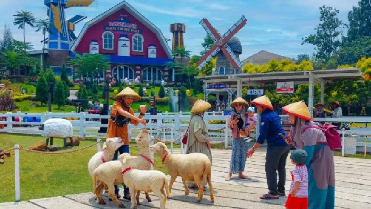 WISATA SERU - Potret Dairyland Puncak diambil dari Instagram pada Selasa (6/5/2025). Dairyland Puncak berlokasi di Cipayung Girang, Kecamatan Megamendung, Kabupaten Bogor.