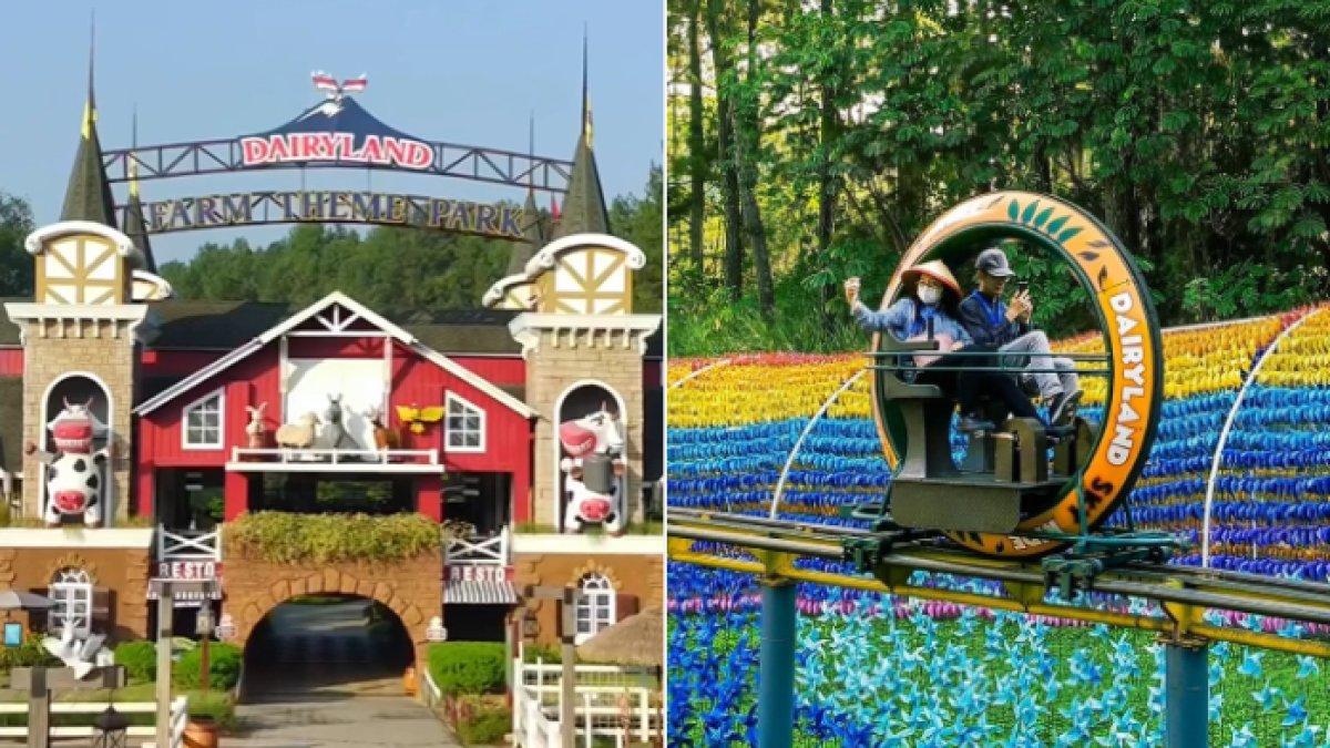 WISATA SERU - Potret Dairyland Puncak diambil dari Instagram pada Selasa (6/5/2025). Dairyland Puncak berlokasi di Jalan Raya Puncak Gadog, Cipayung Girang, Kecamatan Megamendung, Kabupaten Bogor. 