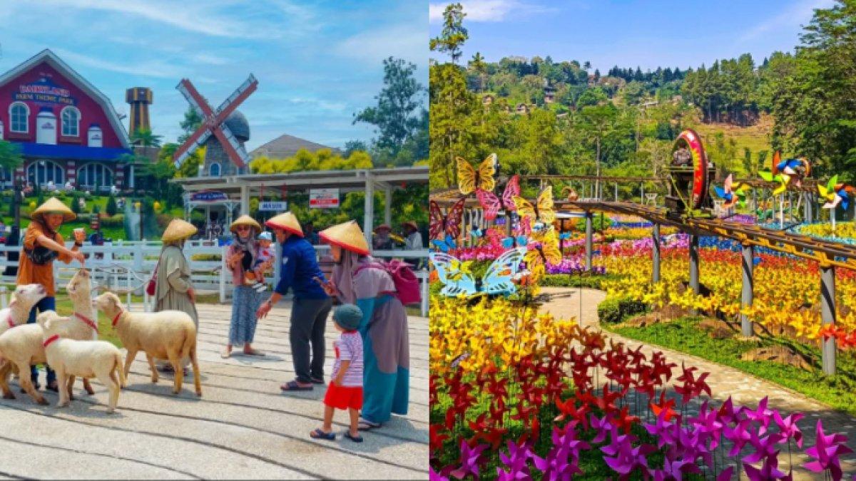 WISATA SERU - Potret Dairyland Puncak diambil dari Instagram pada Selasa (6/5/2025). Dairyland Puncak berlokasi di Kecamatan Megamendung, Kabupaten Bogor, Jawa Barat.