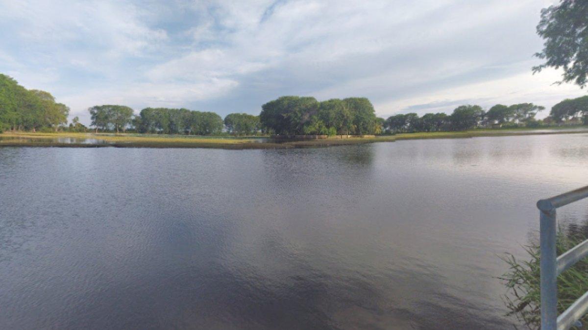 WISATA AIR - Potret Danau Tasikardi diambil dari Google Street View pada Rabu (19/3/2025). Danau Tasikardi berada di Kabupaten Serang, Banten.