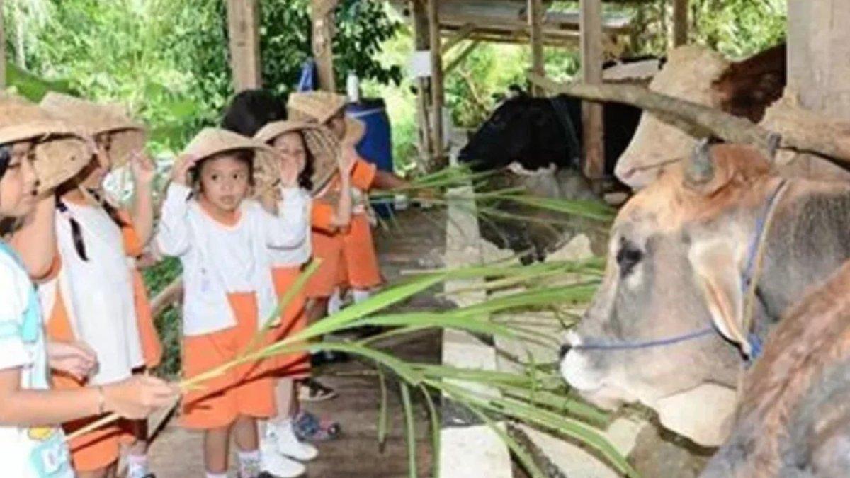 WISATA KALTIM: Desa Bhuana Jaya di Kutai Kartanegara Kalimantan Timur