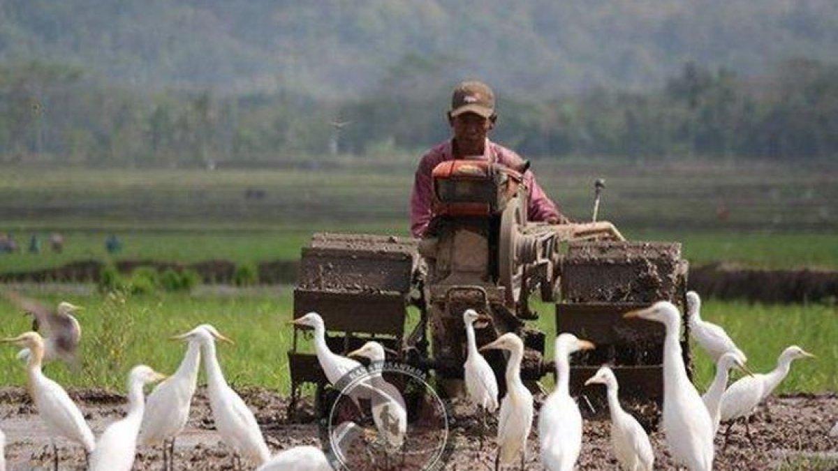 WISATA YOGYAKARTA: Desa Ketingan di Sleman Yogyakarta