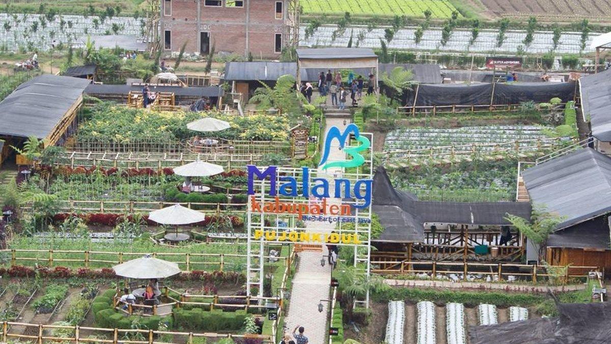 WISATA MALANG: Desa Wisata Pujon Kidul setiap harinya dikunjungi ribuan pengunjung dan berhasil meningkatkan PADes hingga lebih dari Rp 1,3 Miliar pada tahun 2018