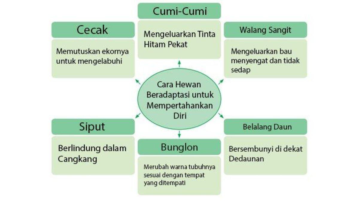 Diagram Cara Hewan Beradaptasi untuk Mempertahankan Diri  i