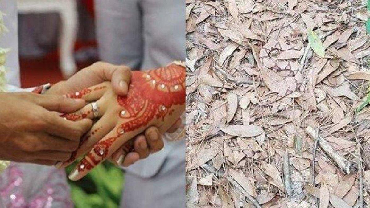 Kisah seorang wanita bernama Rosdiana (28) asal Bima, NTB dilamar dengan sekoper uang daun tengah viral dimedia sosial.