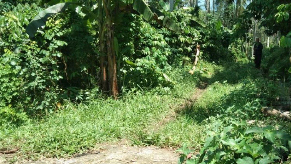 Dugaan lokasi seorang pemudik tersesat hingga ke persawahan di Kranggan, Temanggung, Kamis (4/4/2024).