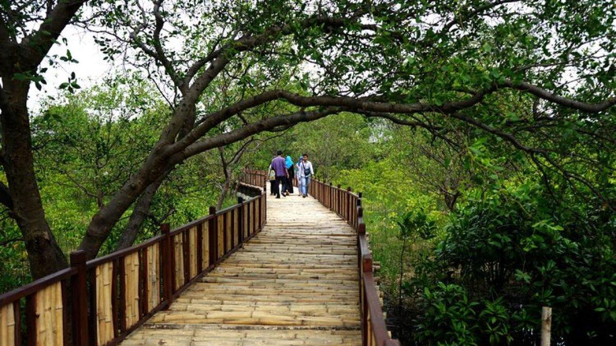 WISATA SURABAYA: Ekowisata Mangrove Wonorejo Surabaya