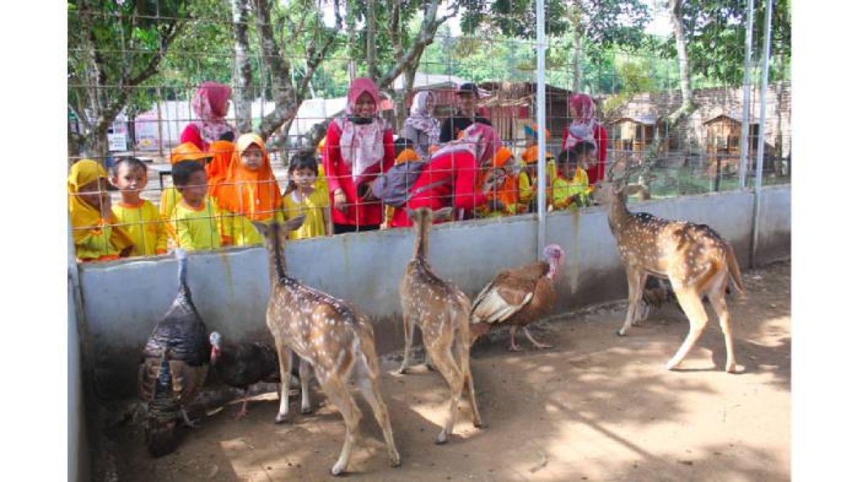 Elite Park Zoo Serang, Banten obyek wisata berupa mini zoo yang berisi koleksi satwa langka dan beragam wahana 
