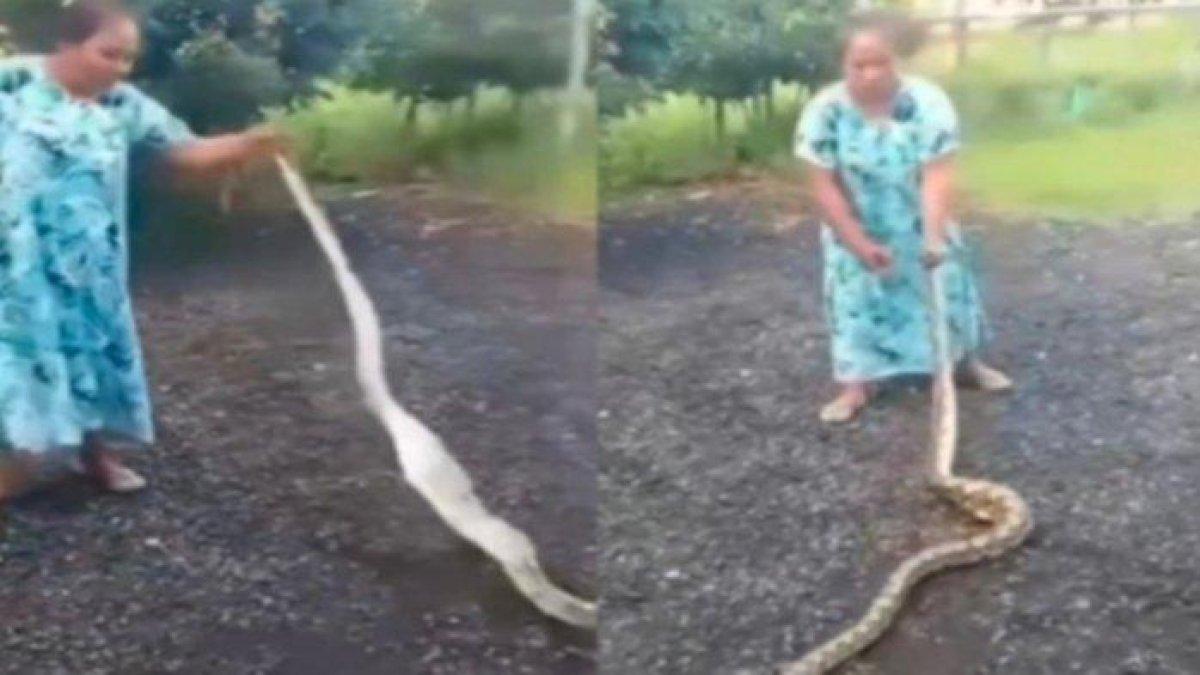 Emak-emak tersebut tanpa rasa takut membanting ular beberapa kali ke tanah.