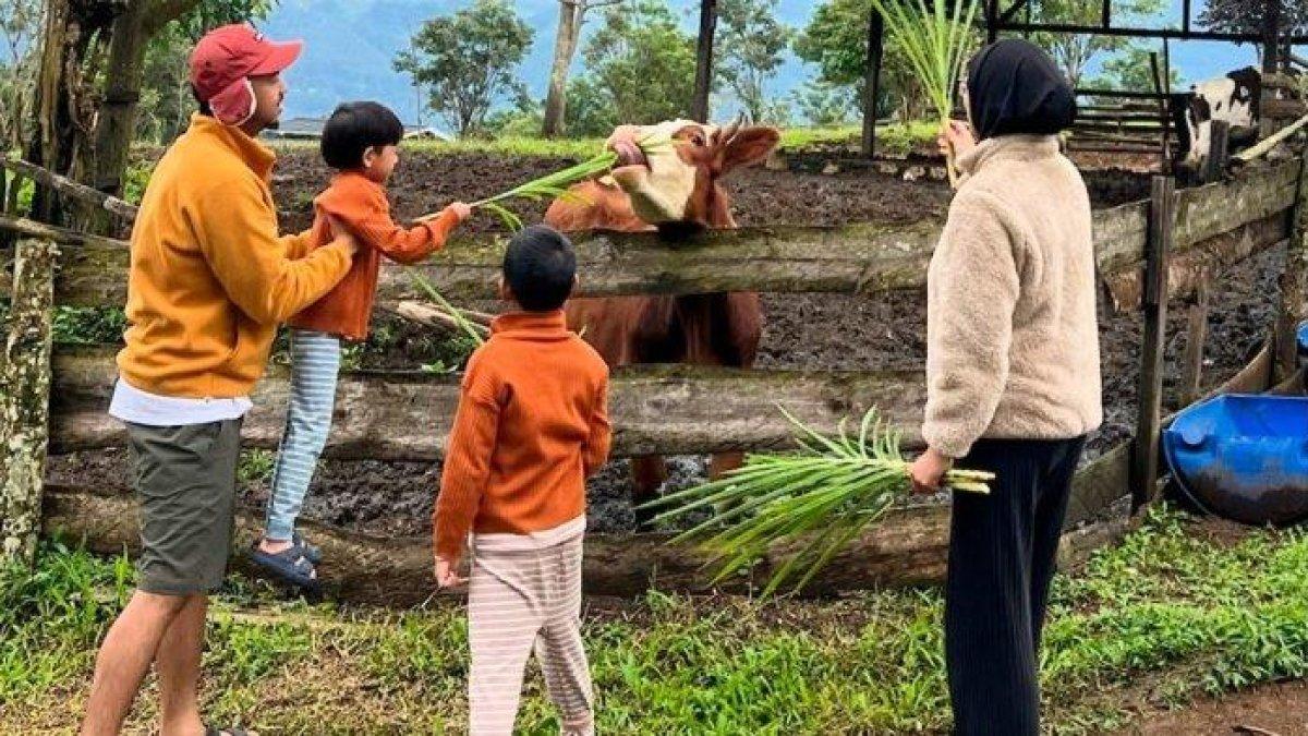 WISATA SERU - Potret Erif Dairy Farm disadur dari TribunTravel.com pada Kamis (22/5/2025). Erif Dairy Farm ada di Kabupaten Bogor, Jawa Barat.