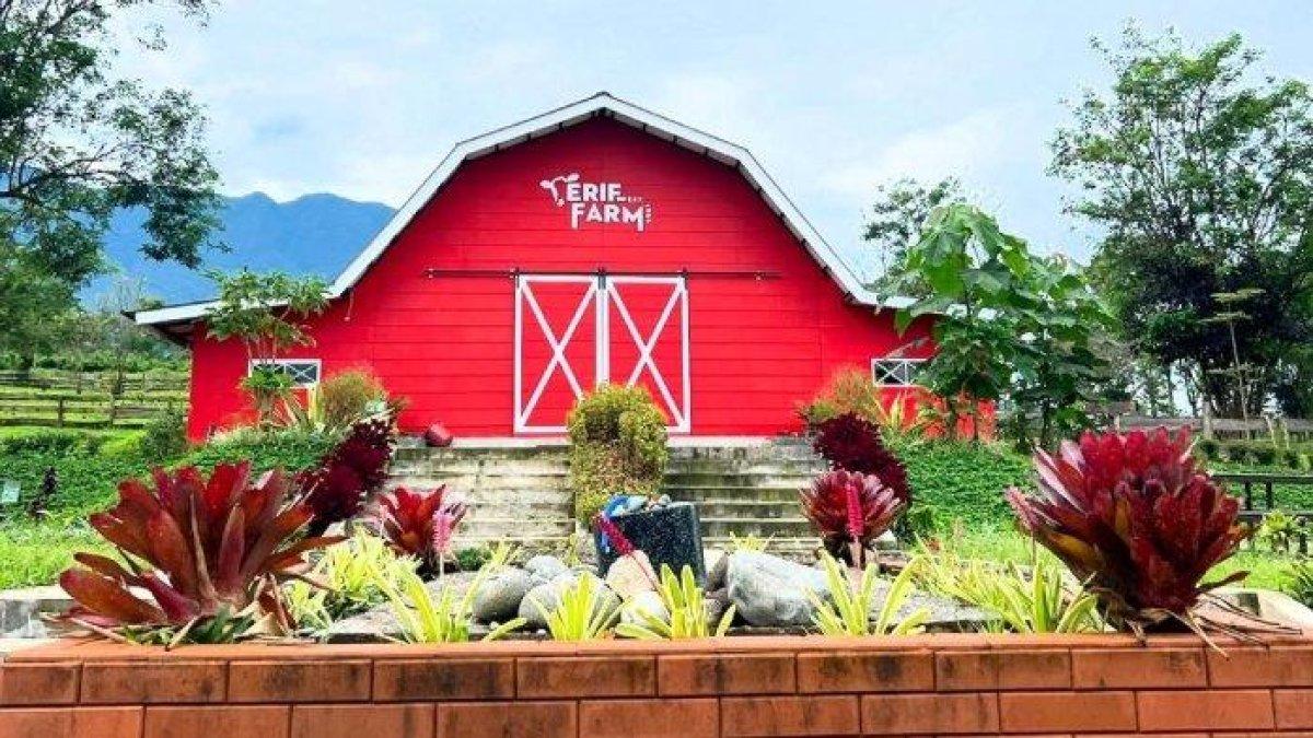 WISATA SERU - Potret Erif Dairy Farm disadur dari TribunTravel.com pada Kamis (22/5/2025). Erif Dairy Farm berada di Kabupaten Bogor, Jawa Barat.