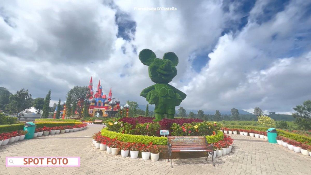 WISATA SERU - Potret Florawisata D'Castello diambil dari YouTube pada Kamis (10/4/2025). Florawisata D'Castello berada di Kabupaten Subang, Jawa Barat.