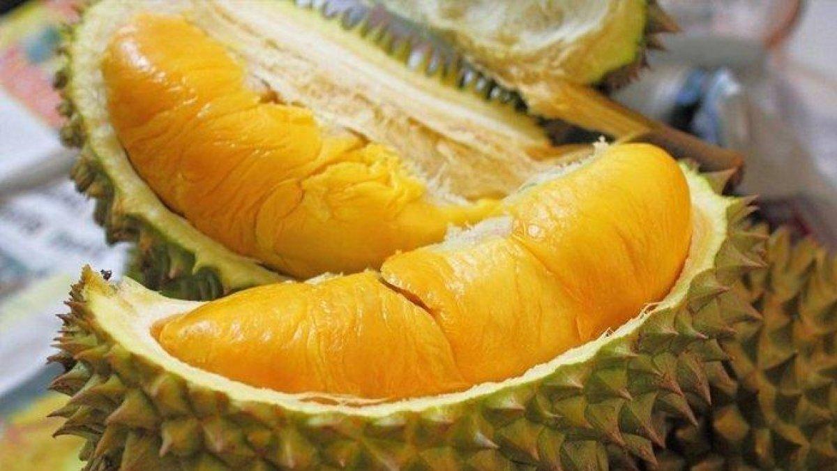 Ilustrasi durian.
