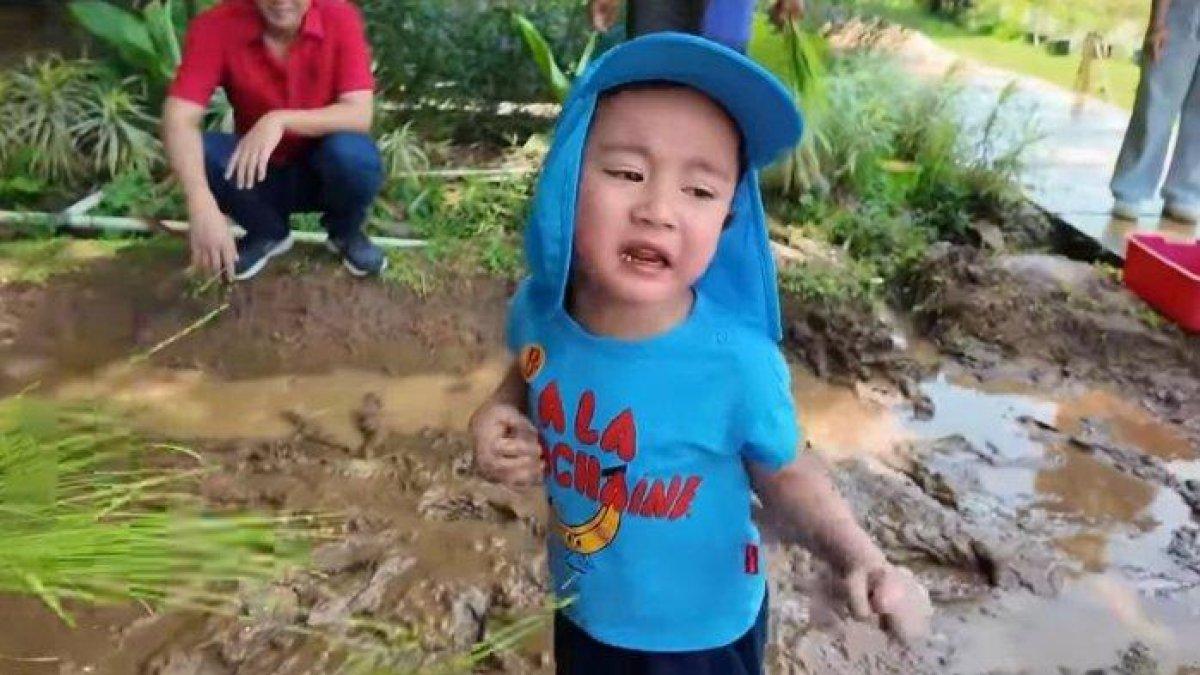 Foto ilustrasi, Rayyanza Malik Ahmad. Anak kedua Raffi Ahmad dan Nagita Slavina, Rayyanza Malik Ahmad atau Rayyanza turun ke sawah untuk menanam padi bersama dengan pengasuhnya, Sus Rini.