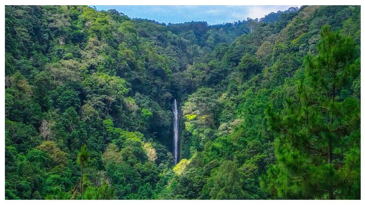 Pemandangan Coban Glotak dari kamera drone