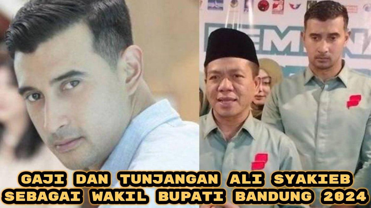 Berikut gaji dan tunjangan Ali Syakieb sebagai Wakil Bupati Bandung 2024, lebih besar dari honor syuting?