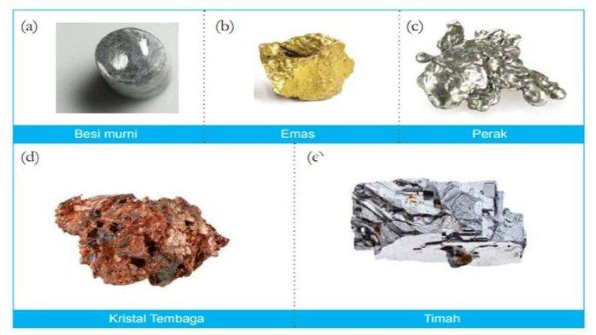 Gambar Ayo Amati Aktivitas 5.1