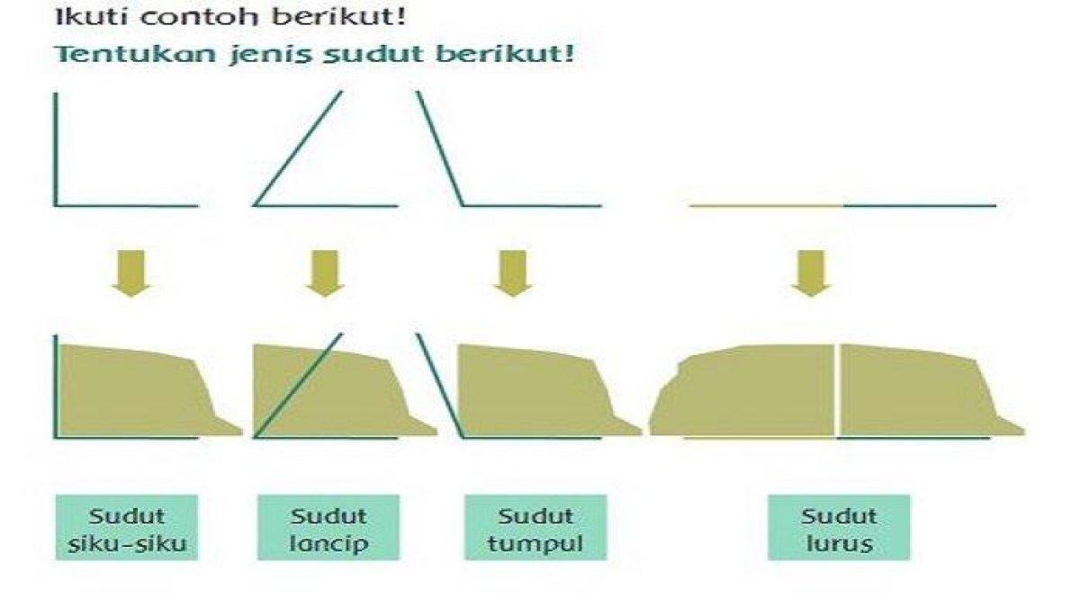 Gambar Buku Tematik Kelas 3 Tema 8 Halaman 34 (II)