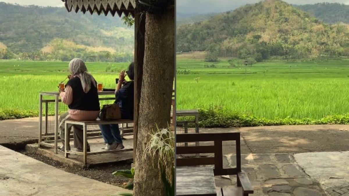 RESTORAN JOGJA - Geblek Pari. Inilah restoran keluarga bernuansa alam yang sejuk di Kulon Progo Yogyakarta dengan view persawahan, ada hidangan khas Desa.