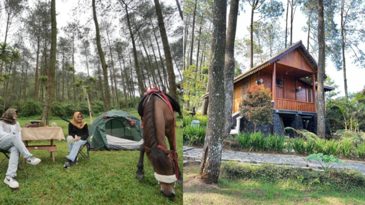 WISATA ALAM - Potret Gedong Songo Park diambil dari Instagram pada Kamis (5/6/2025). Gedong Songo Park terletak di Kawasan Candi Gedong Songo, Bandungan, Semarang, Jawa Tengah.