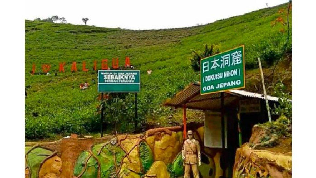 WISATA BREBES: Goa Jepang di tengah hampara teh di Wisata Agro Kaligua, Brebes, yang merupakan kebun teh legendaris sejak zaman Belanda.