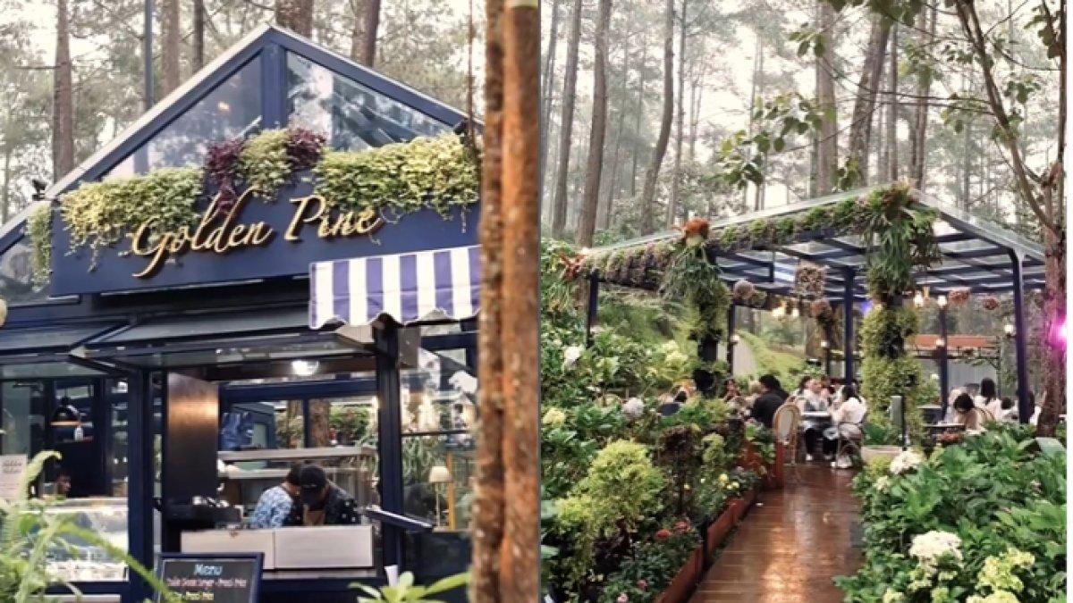 KAFE ESTETIK - Potret Golden Pine diambil dari Instagram pada Jumat (25/4/2025). Golden Pine berada di kawasan Orchid Forest Cikole, Lembang, Bandung Barat.