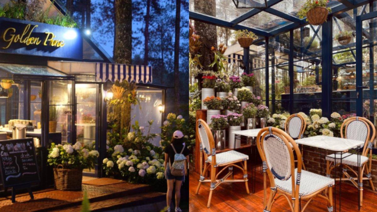 KAFE ESTETIK - Potret Golden Pine diambil dari Instagram pada Jumat (25/4/2025). Golden Pine berada di kawasan Orchid Forest Cikole, Lembang, Kabupaten Bandung Barat.