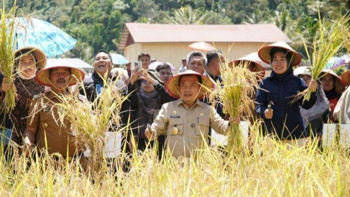 100 HARI KERJA - Gubernur Jambi, Al Haris, menegaskan komitmen Pemerintah Provinsi Jambi bersama pemerintah kabupaten/kota untuk bersinergi dalam membenahi sistem pertanian guna meningkatkan hasil produksi petani. Hal ini sejalan dengan program prioritas nasional dalam Asta Cita Presiden.
