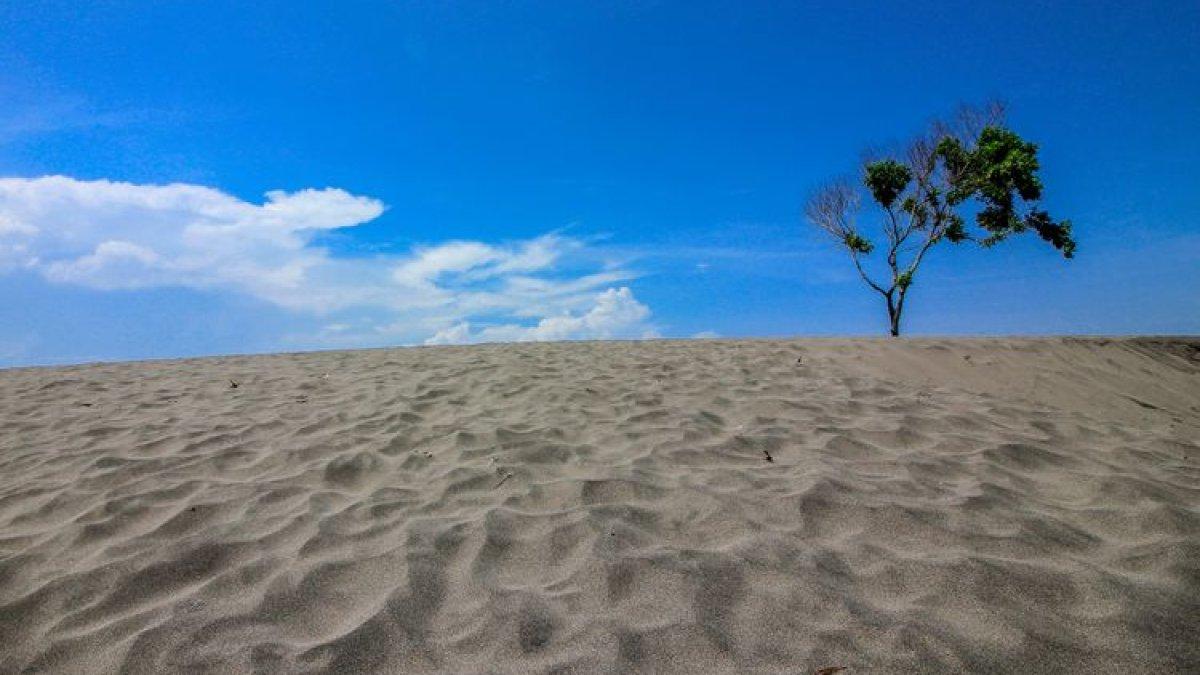 PESONA WISATA BANTUL - Gumuk Pasir Parangkusumo, Yogyakarta.