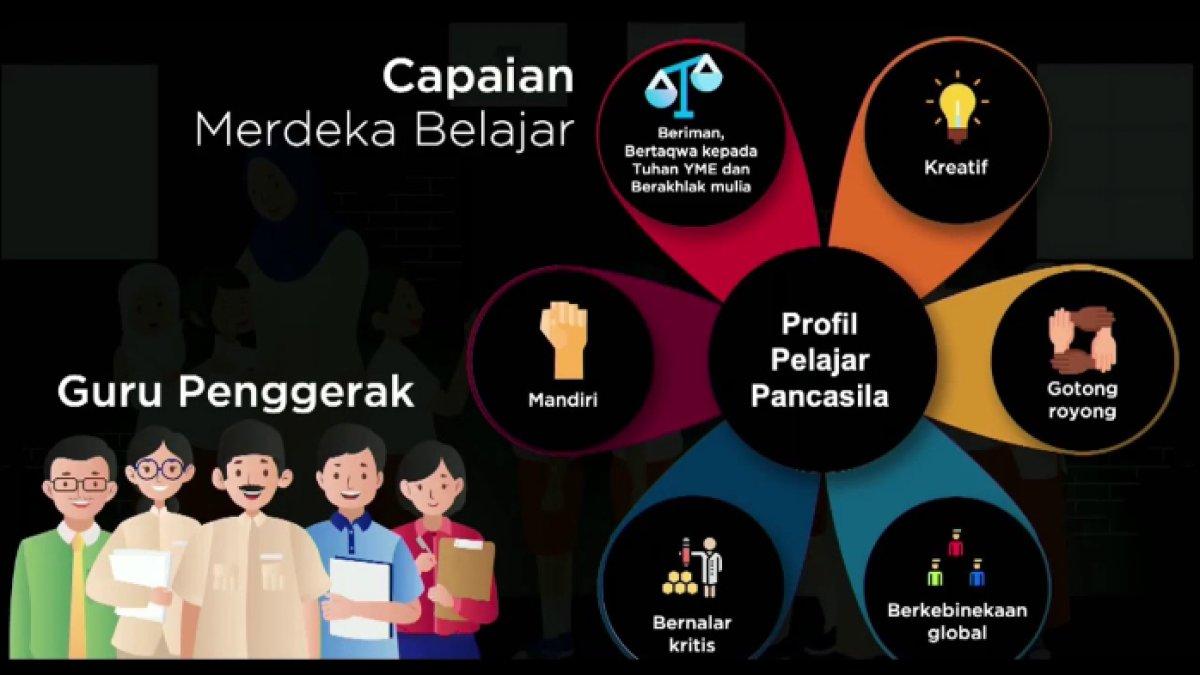 Kunci jawaban dari soal 'Apa informasi atau fakta yang disampaikan dalam video dan artikel?'