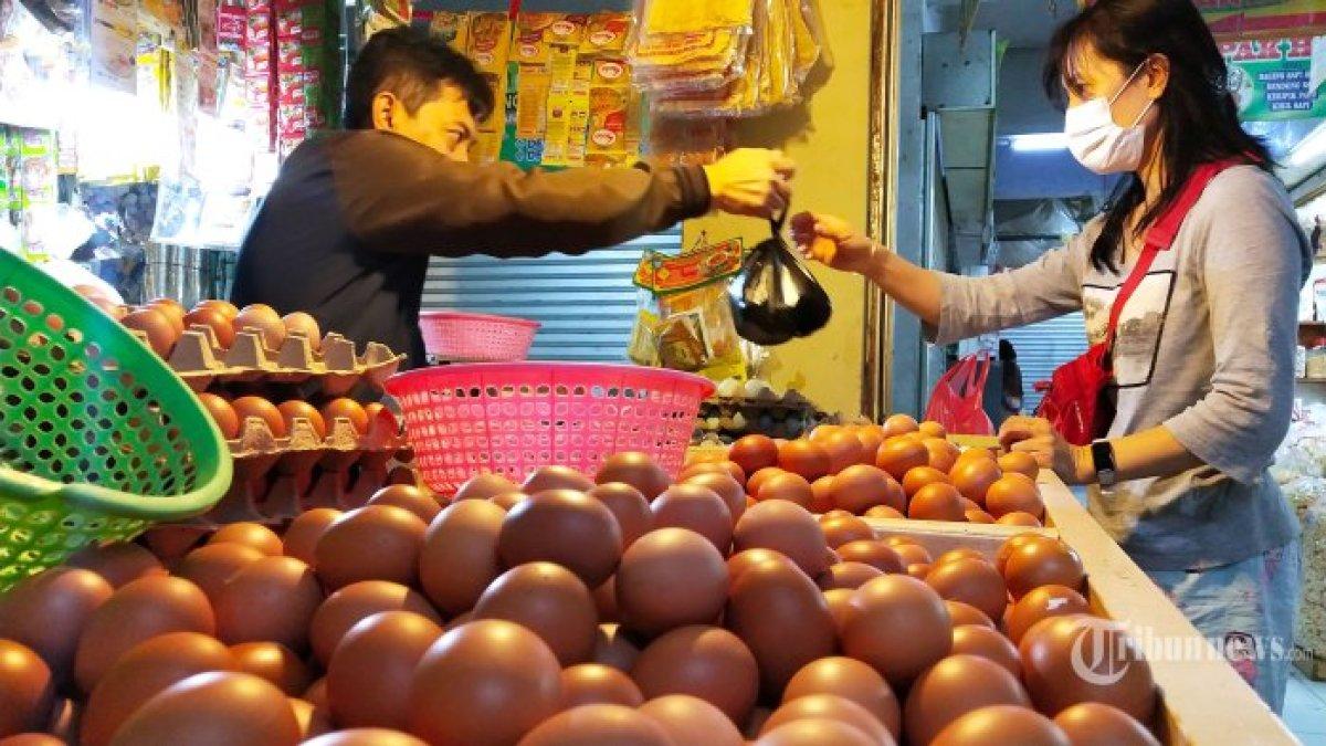 Harga komoditas telur ayam.