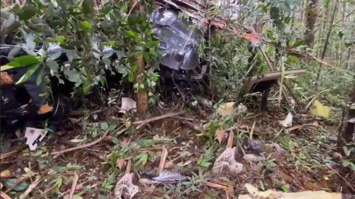 Helikopter yang Hilang Kontak Ditemukan Jatuh di Hutan Halmahera, 3 Orang Tewas Termasuk Pilot
