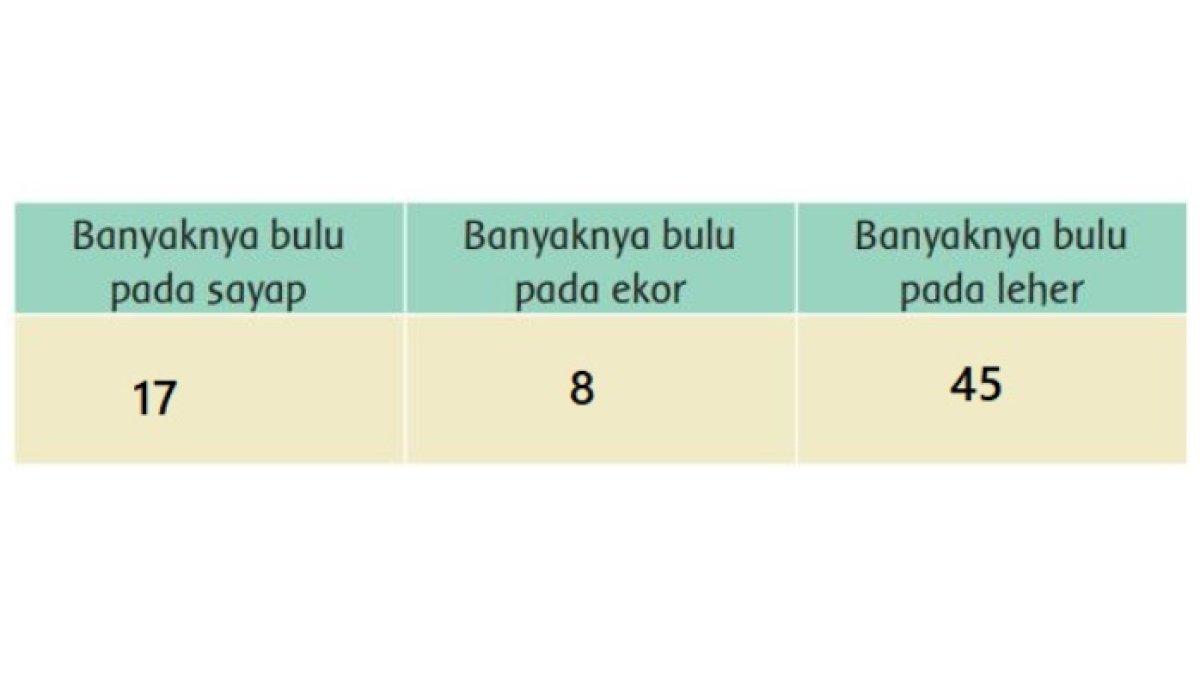 Jawaban