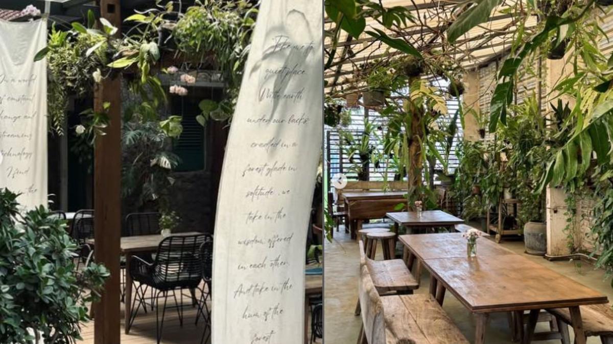 WISATA SUKOHARJO - Hutan Lokal Cafe & Plants di Sukoharjo Jawa Tengah