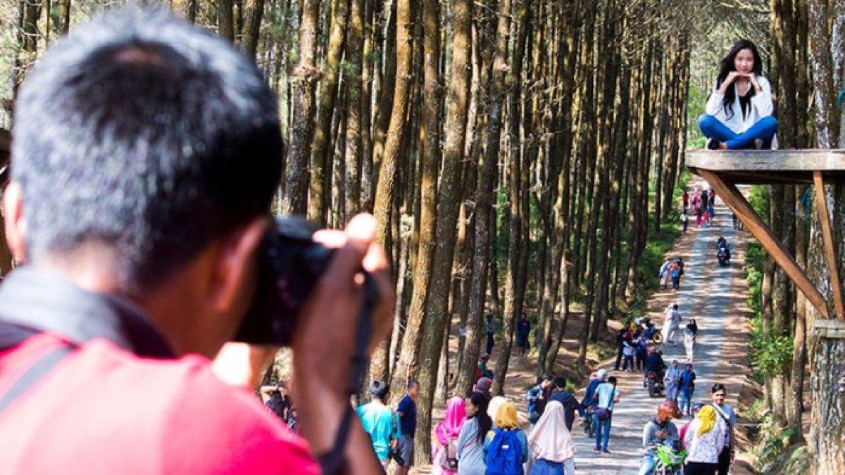 WISATA ALAM - Potret  Hutan Pinus Kragilan diambil dari Google Street View pada Rabu (5/3/2025). Hutan Pinus Kragilan berada di daerah Pogalan, Kecamatan Pakis, Kabupaten Magelang.