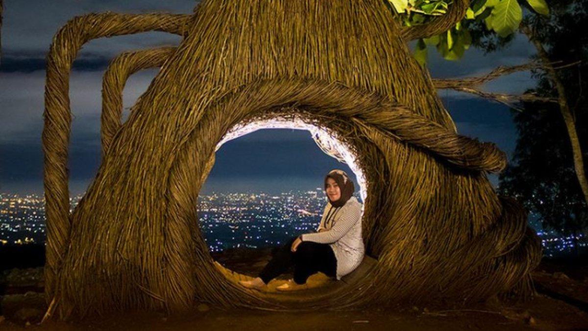 WISATA ALAM - Potret suasana malam di Hutan Pinus Pengger, disadur dari Kompas.com pada Kamis (13/3/2025). Hutan Pinus Pengger berada di Bantul.