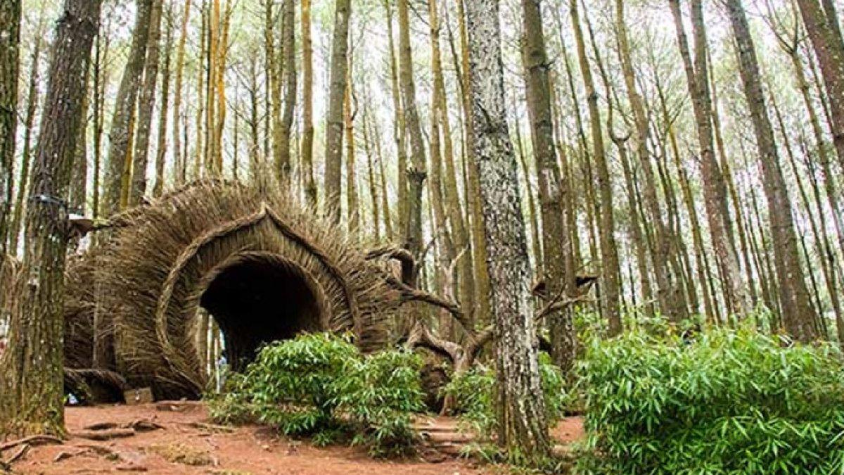 WISATA ALAM - Potret salah satu ornamen untuk spot foto di Hutan Pinus Pengger, disadur dari Kompas.com pada Kamis (13/3/2025). Hutan Pinus Pengger berada di Kabupaten Bantul, Yogyakarta.