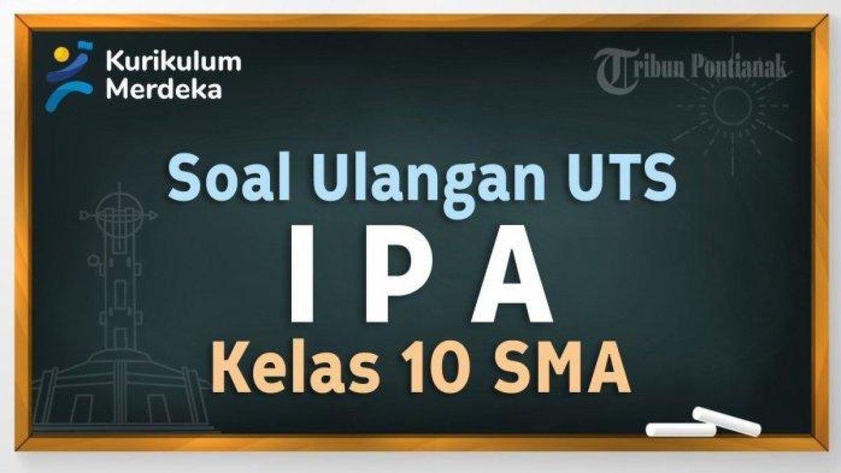 Jawaban terbaik dari soal IPA Kelas 10 halaman 142-143 Kurikulum Merdeka.