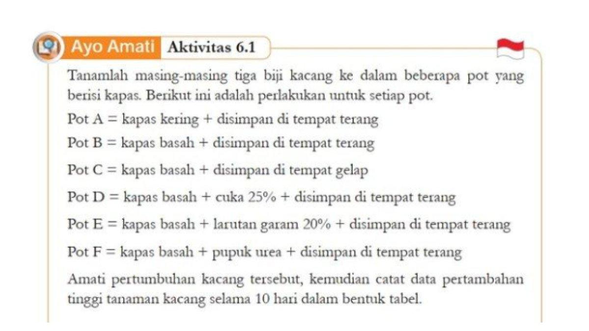 ILUSTRASI KUNCI JAWABAN: IPA Kelas 7 Semester 2 Halaman 163, Aktivitas 6.1