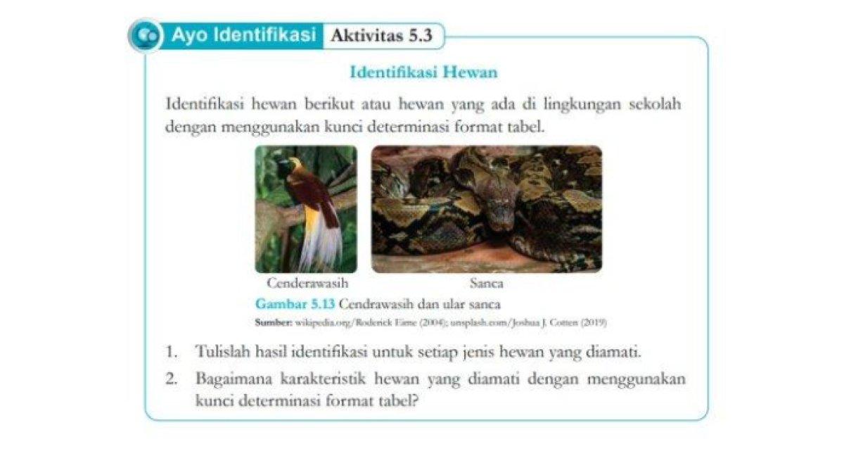 Soal buku IPA kelas 7 halaman 143 Kurikulum Merdeka