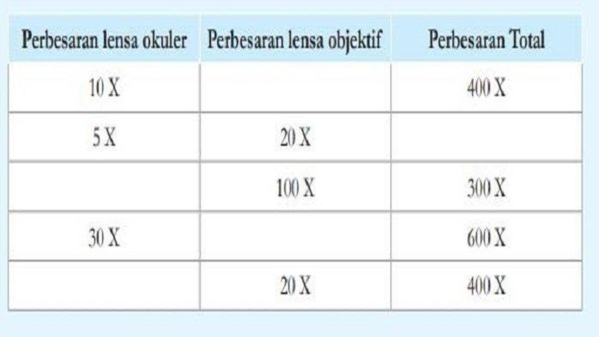 Pelajari soal Ilmu Pengetahuan Alam (IPA) pada halaman 25 kurikulum merdeka Kelas 8 dalam review Pengenalan Sel.