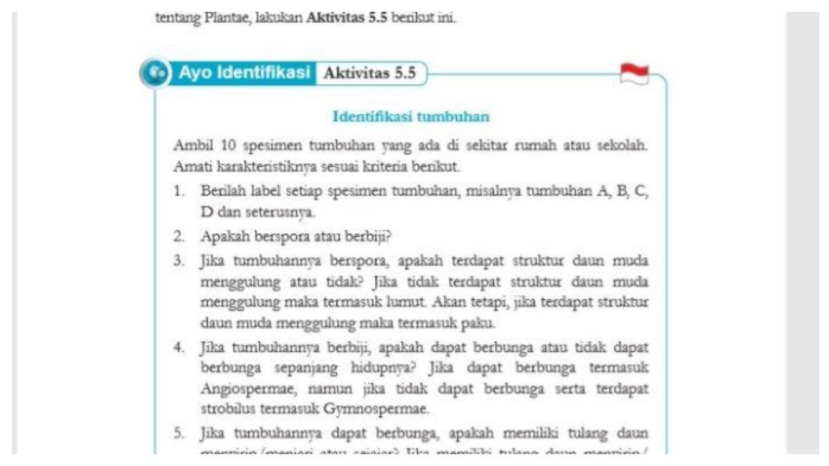 ILUSTRASI KUNCI JAWABAN: IPA kurikulum merdeka kelas 7 halaman 155 tentang identifikasi tumbuhan