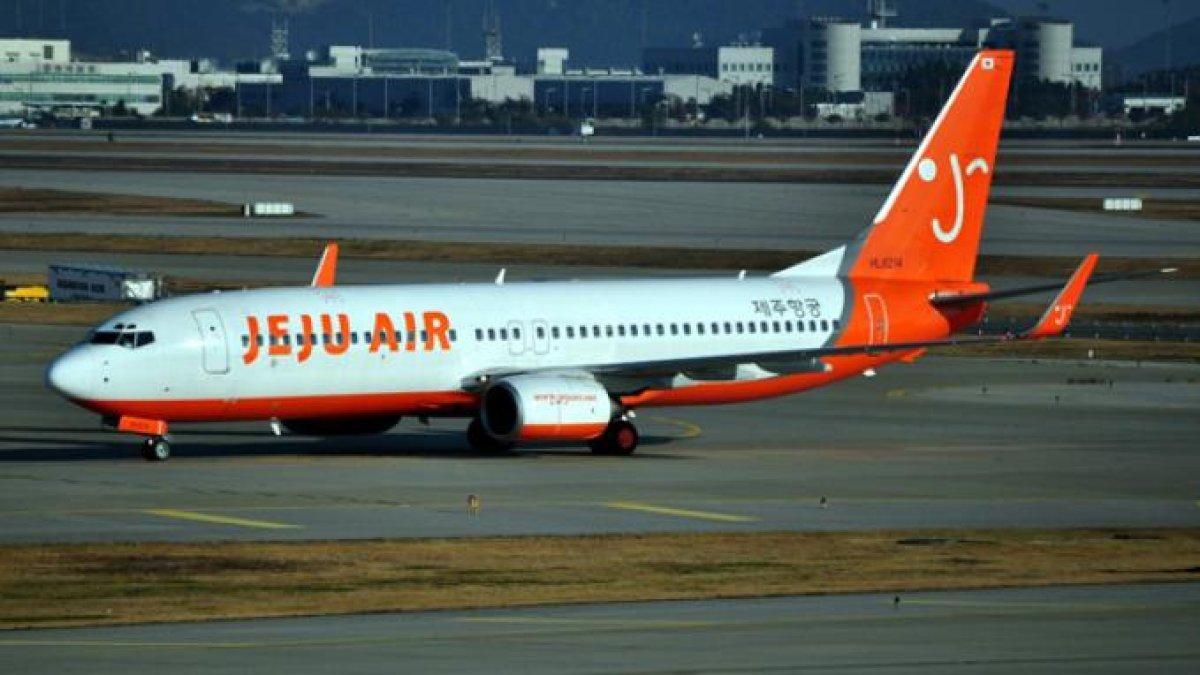 Ilustrasi - Maskapai Korea Selatan Jeju Air.