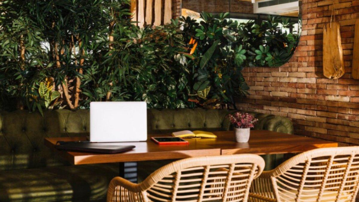 Ilustrasi kafe unik di Tokyo