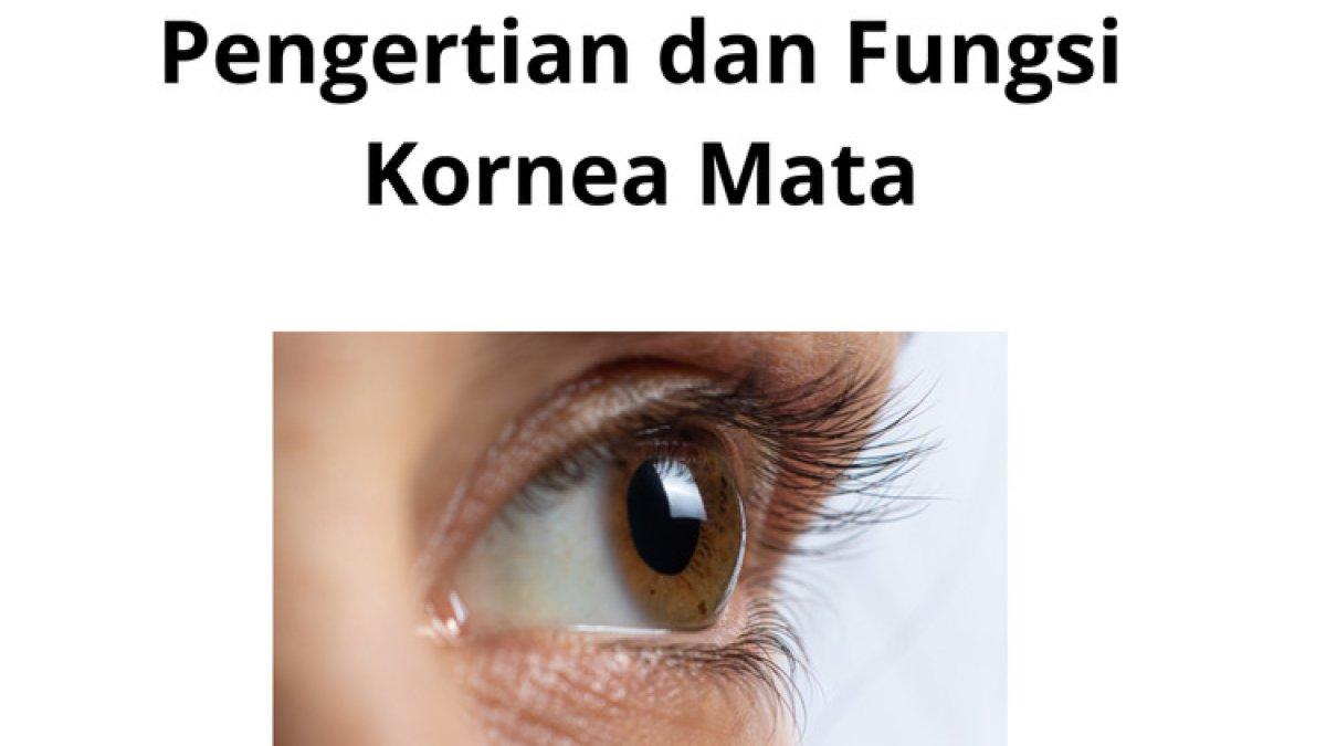 Ilustrasi kornea mata manusia